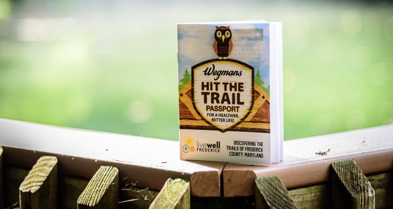 hit the trail book