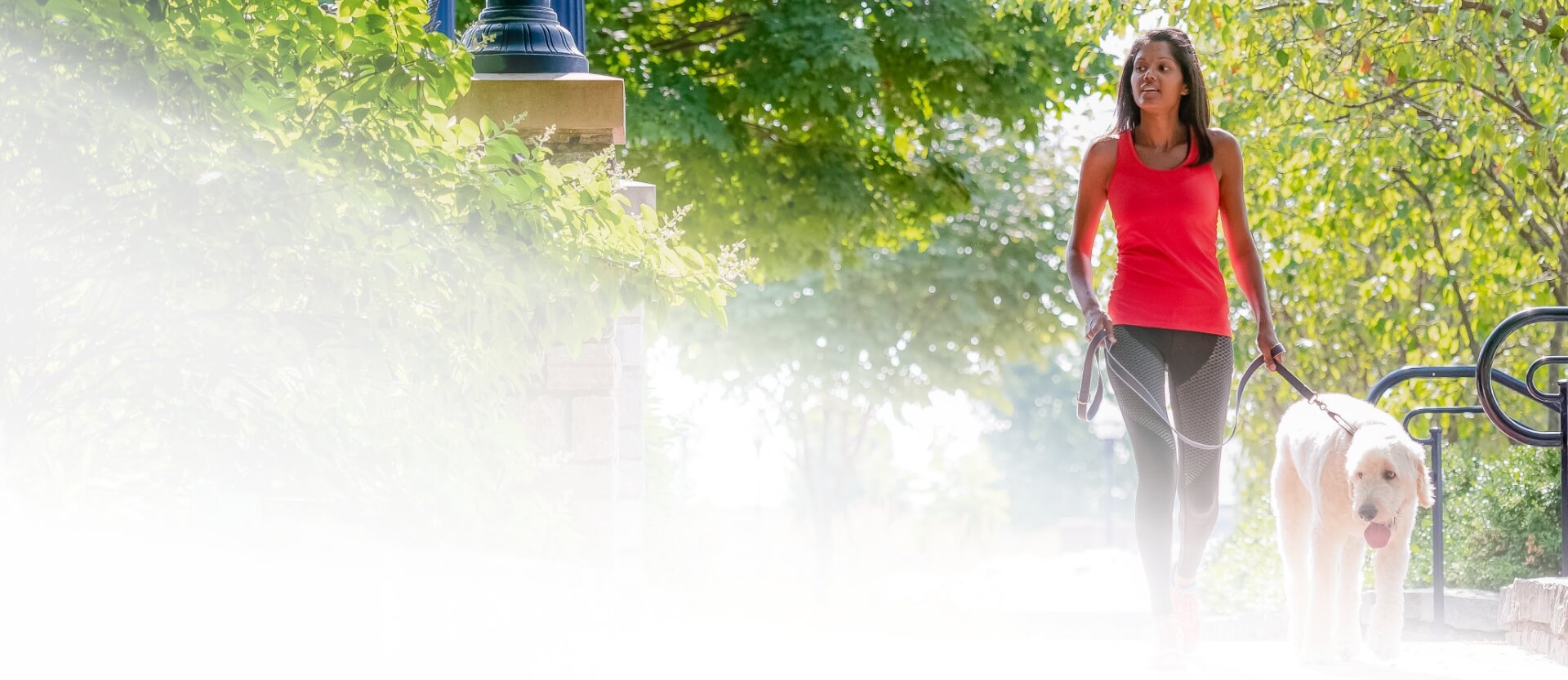 Healthcare Services in Frederick County, MD Frederick Health